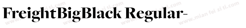 FreightBigBlack Regular字体转换